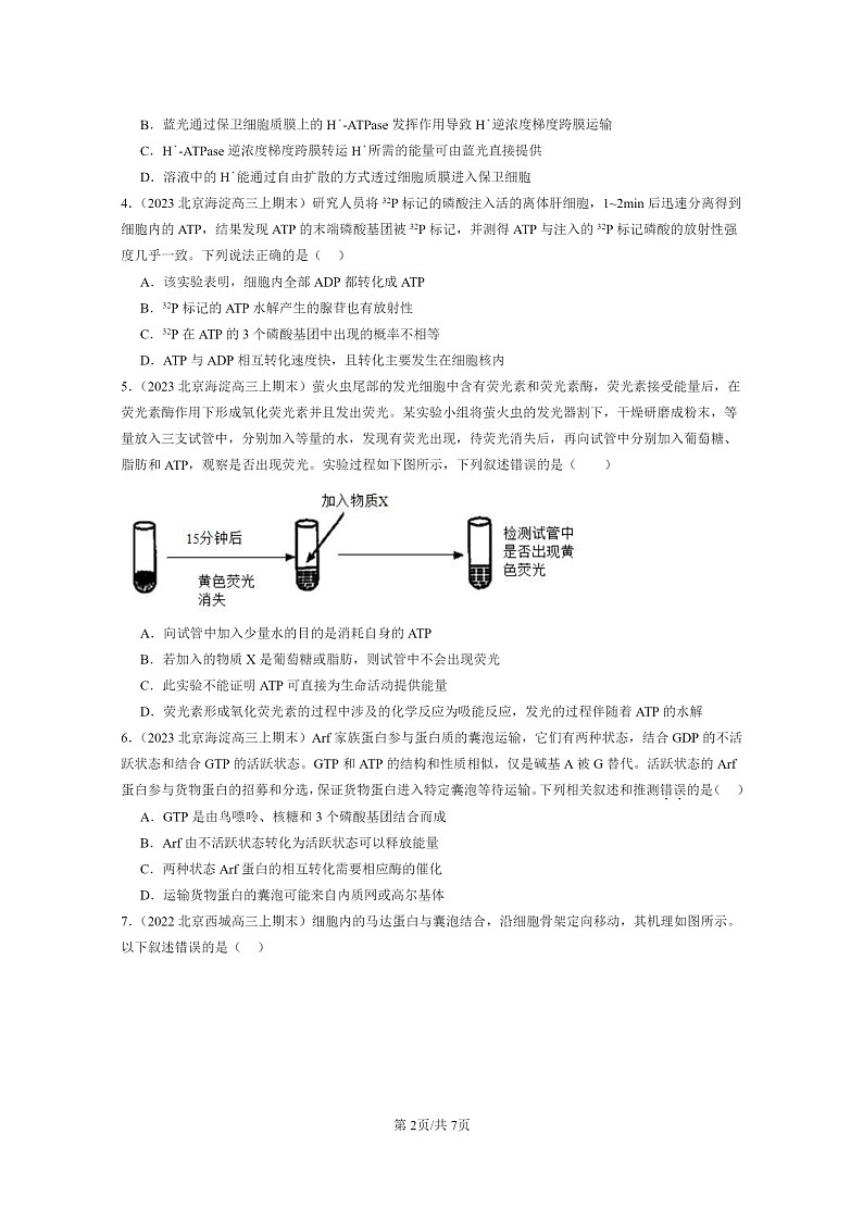 [生物]2022～2024北京高三上学期期末生物真题分类汇编：细胞的能量“货币”ATP02
