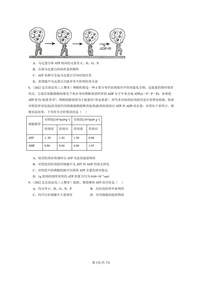 [生物]2022～2024北京高三上学期期末生物真题分类汇编：细胞的能量“货币”ATP03