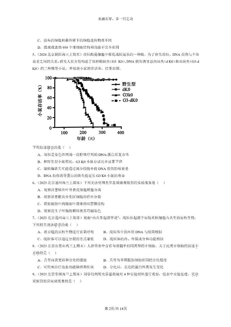 [生物]2022～2024北京高三上学期期末生物真题分类汇编：细胞的生命历程章节综合02