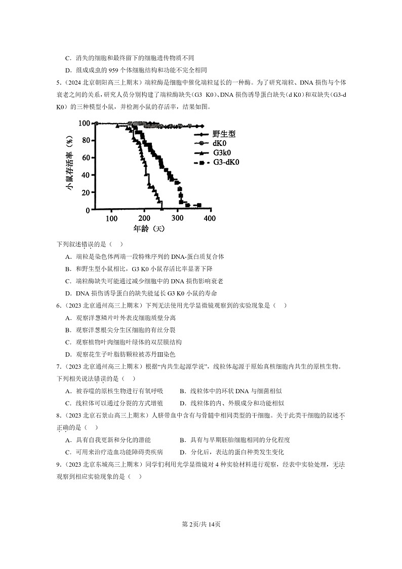 [生物]2022～2024北京高三上学期期末生物真题分类汇编：细胞的生命历程章节综合02