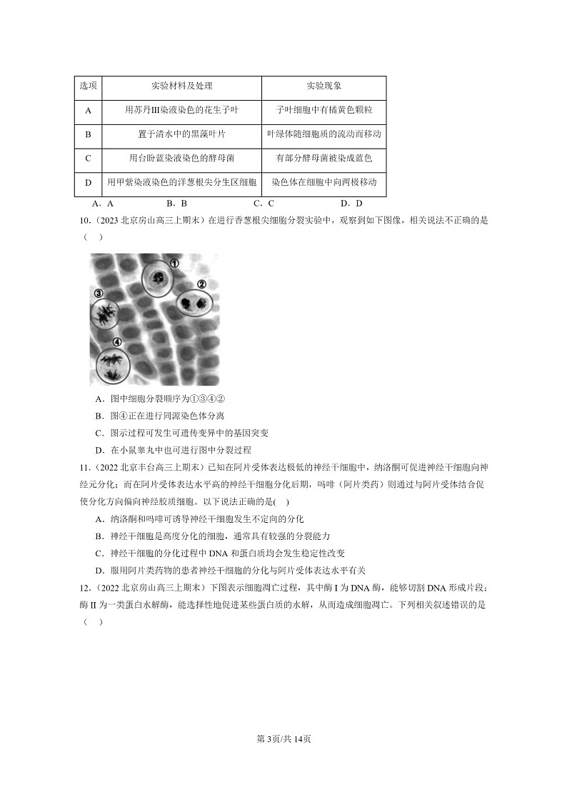 [生物]2022～2024北京高三上学期期末生物真题分类汇编：细胞的生命历程章节综合03