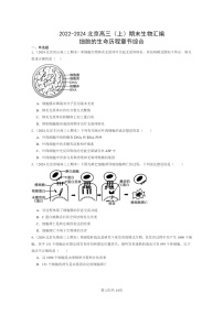 [生物]2022～2024北京高三上学期期末生物真题分类汇编：细胞的生命历程章节综合