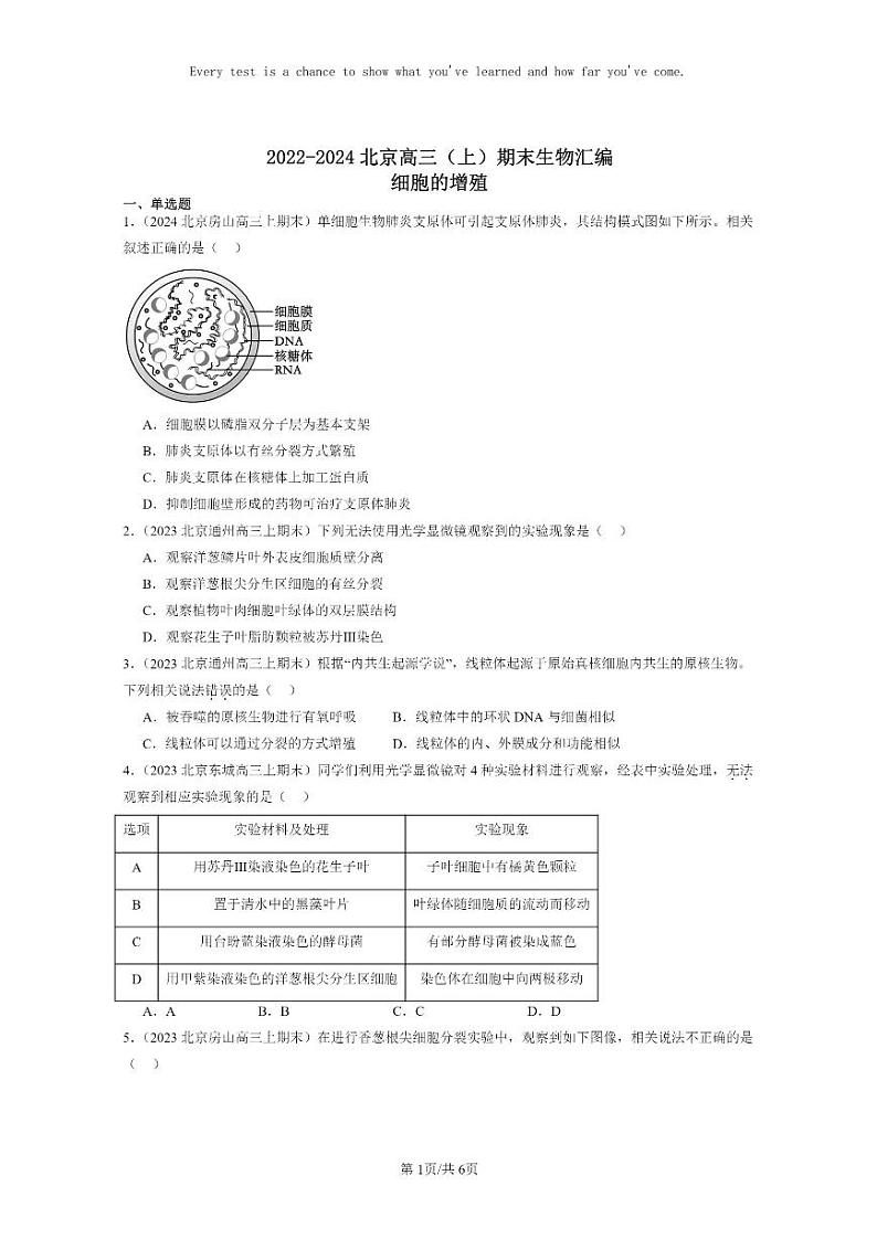 [生物]2022～2024北京高三上学期期末生物真题分类汇编：细胞的增殖第1页
