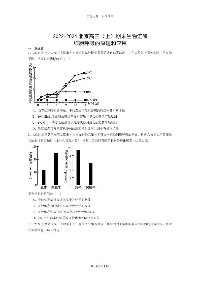[生物]2022～2024北京高三上学期期末生物真题分类汇编：细胞呼吸的原理和应用第1页