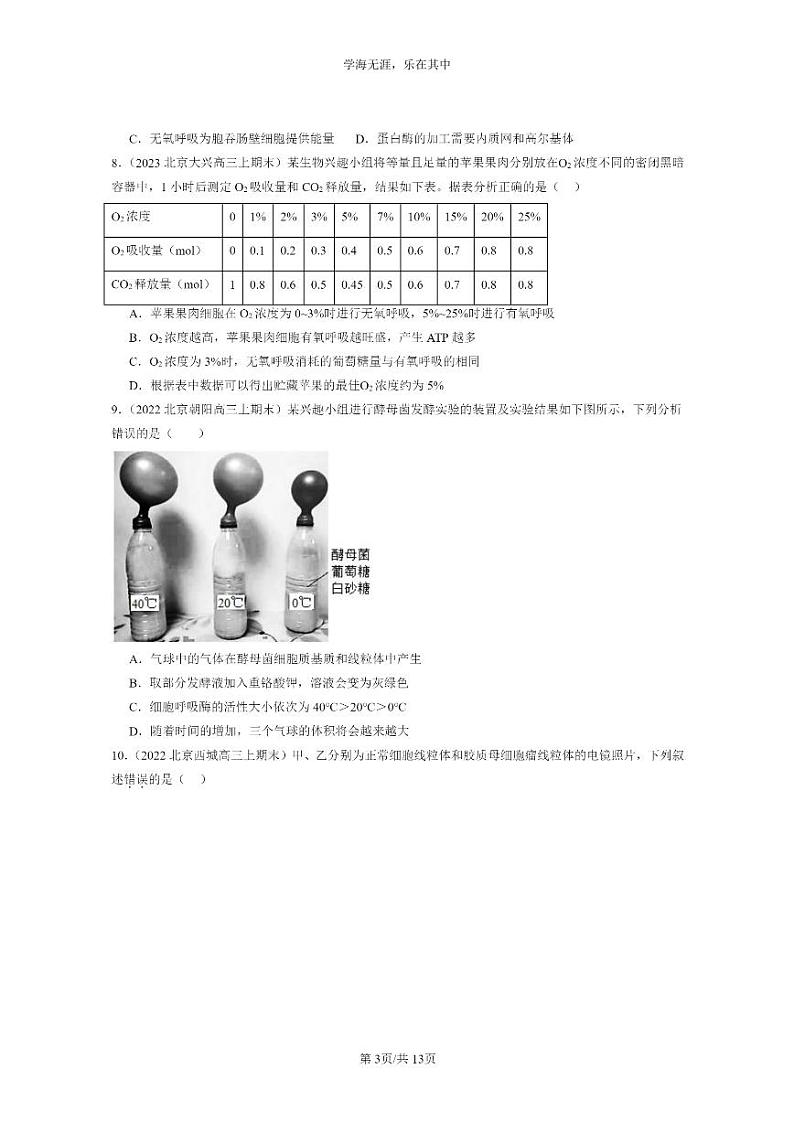 [生物]2022～2024北京高三上学期期末生物真题分类汇编：细胞呼吸的原理和应用第3页