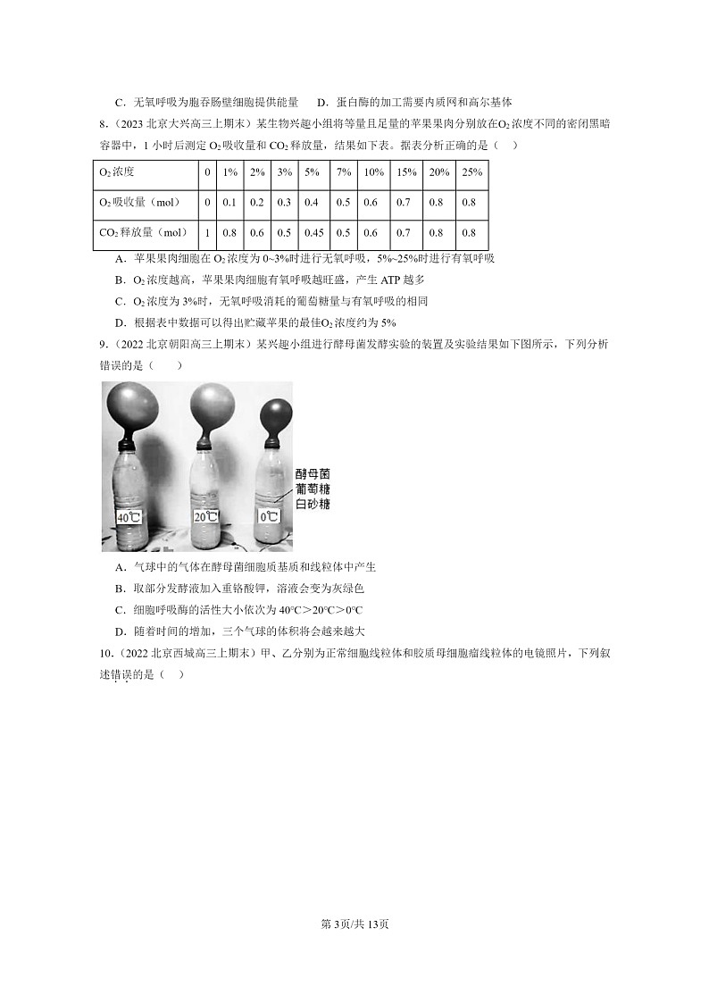 [生物]2022～2024北京高三上学期期末生物真题分类汇编：细胞呼吸的原理和应用第3页