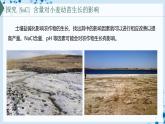 【沪科技版】生物必修一  1.2 实验探究是学习生物学的重要途径（教学课件）