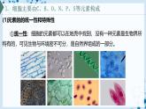 【沪科技版】生物必修一  2.1 C、H、O、N、P、S 等元素组成复杂的生物分子（教学课件）