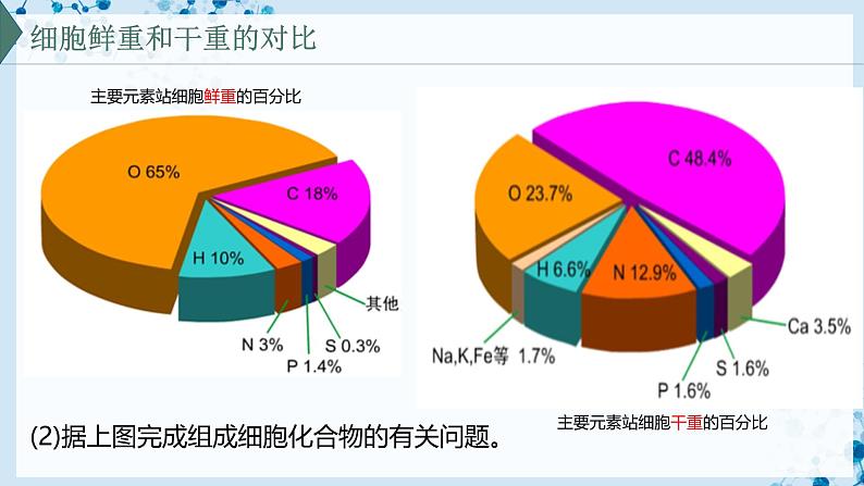 【沪科技版】生物必修一  2.1 C、H、O、N、P、S 等元素组成复杂的生物分子（教学课件）08