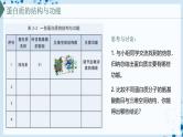 【沪科技版】生物必修一  2.2 蛋白质和核酸是重要的生物大分子（教学课件）