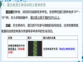 【沪科技版】生物必修一  2.2 蛋白质和核酸是重要的生物大分子（教学课件）