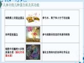 【沪科技版】生物必修一  2.2 蛋白质和核酸是重要的生物大分子（教学课件）