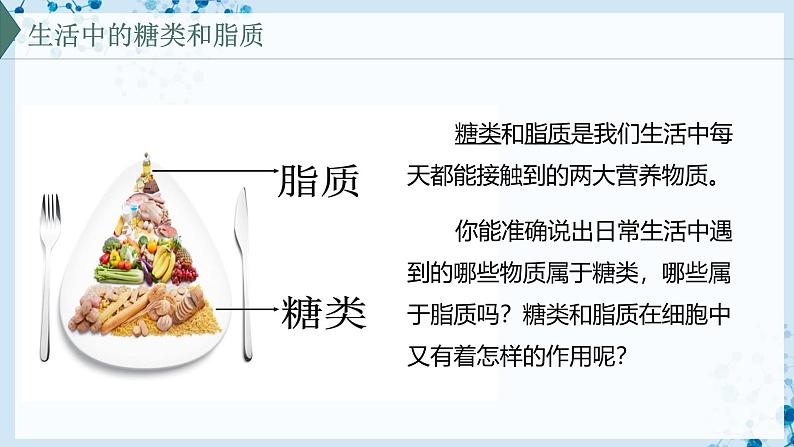 【沪科技版】生物必修一  2.3 糖类和脂质是细胞的结构成分和能源物质（教学课件）02