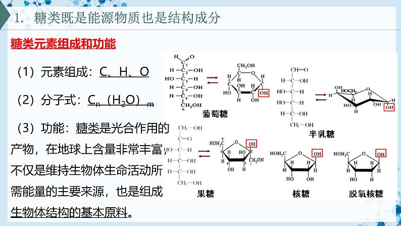 【沪科技版】生物必修一  2.3 糖类和脂质是细胞的结构成分和能源物质（教学课件）04