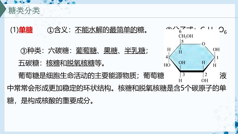 【沪科技版】生物必修一  2.3 糖类和脂质是细胞的结构成分和能源物质（教学课件）05