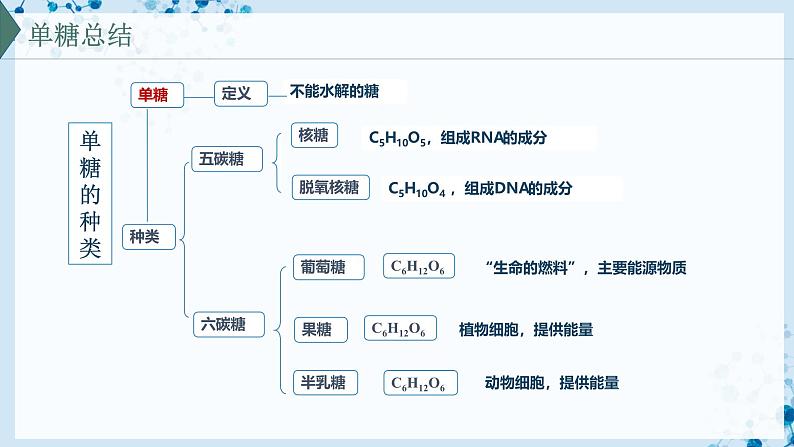 【沪科技版】生物必修一  2.3 糖类和脂质是细胞的结构成分和能源物质（教学课件）06