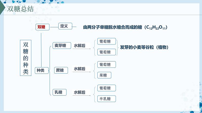 【沪科技版】生物必修一  2.3 糖类和脂质是细胞的结构成分和能源物质（教学课件）08