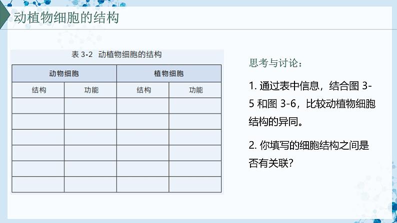 【沪科技版】生物必修一  3.2 细胞各部分结构既分工又合作（教学课件）03