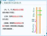 【沪科技版】生物必修一  4.1 细胞通过质膜与外界进行物质交换（教学课件）