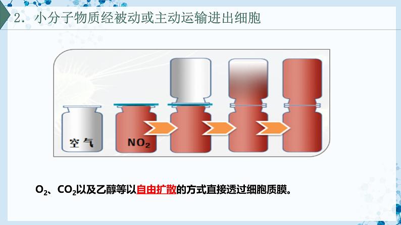 【沪科技版】生物必修一  4.1 细胞通过质膜与外界进行物质交换（教学课件）06