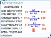 【沪科技版】生物必修一  4.2 酶催化细胞的化学反应（教学课件）