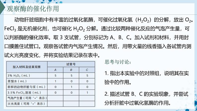 【沪科技版】生物必修一  4.2 酶催化细胞的化学反应（教学课件）03