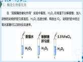 【沪科技版】生物必修一  4.2 酶催化细胞的化学反应（教学课件）
