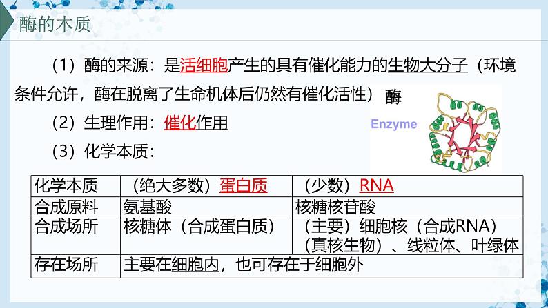 【沪科技版】生物必修一  4.2 酶催化细胞的化学反应（教学课件）06