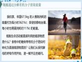 【沪科技版】生物必修一  4.3 细胞通过分解有机分子获取能量（教学课件）