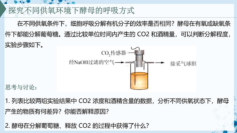 【沪科技版】生物必修一  4.3 细胞通过分解有机分子获取能量（教学课件）03