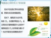 【沪科技版】生物必修一  4.4 叶绿体将光能转换并储存在糖分子中（教学课件）