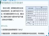 【沪科技版】生物必修一  4.4 叶绿体将光能转换并储存在糖分子中（教学课件）