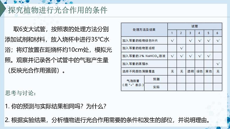 【沪科技版】生物必修一  4.4 叶绿体将光能转换并储存在糖分子中（教学课件）03