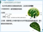 【沪科技版】生物必修一  4.4 叶绿体将光能转换并储存在糖分子中（教学课件）
