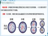 【沪科技版】生物必修一  5.1 细胞通过分裂实现增殖（教学课件）