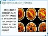 【沪科技版】生物必修一  5.2 细胞通过分化形成多细胞生物体（教学课件）