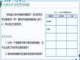 【沪科技版】生物必修一  5.2 细胞通过分化形成多细胞生物体（教学课件）