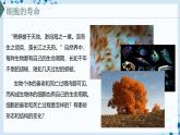 【沪科技版】生物必修一  5.3 细胞衰老和死亡是自然的生理过程（教学课件）