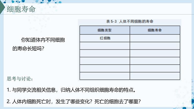 【沪科技版】生物必修一  5.3 细胞衰老和死亡是自然的生理过程（教学课件）03