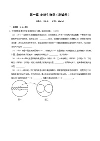 高中生物沪科技版（2020）必修1第1章  走进生物学本章复习与测试单元测试精练