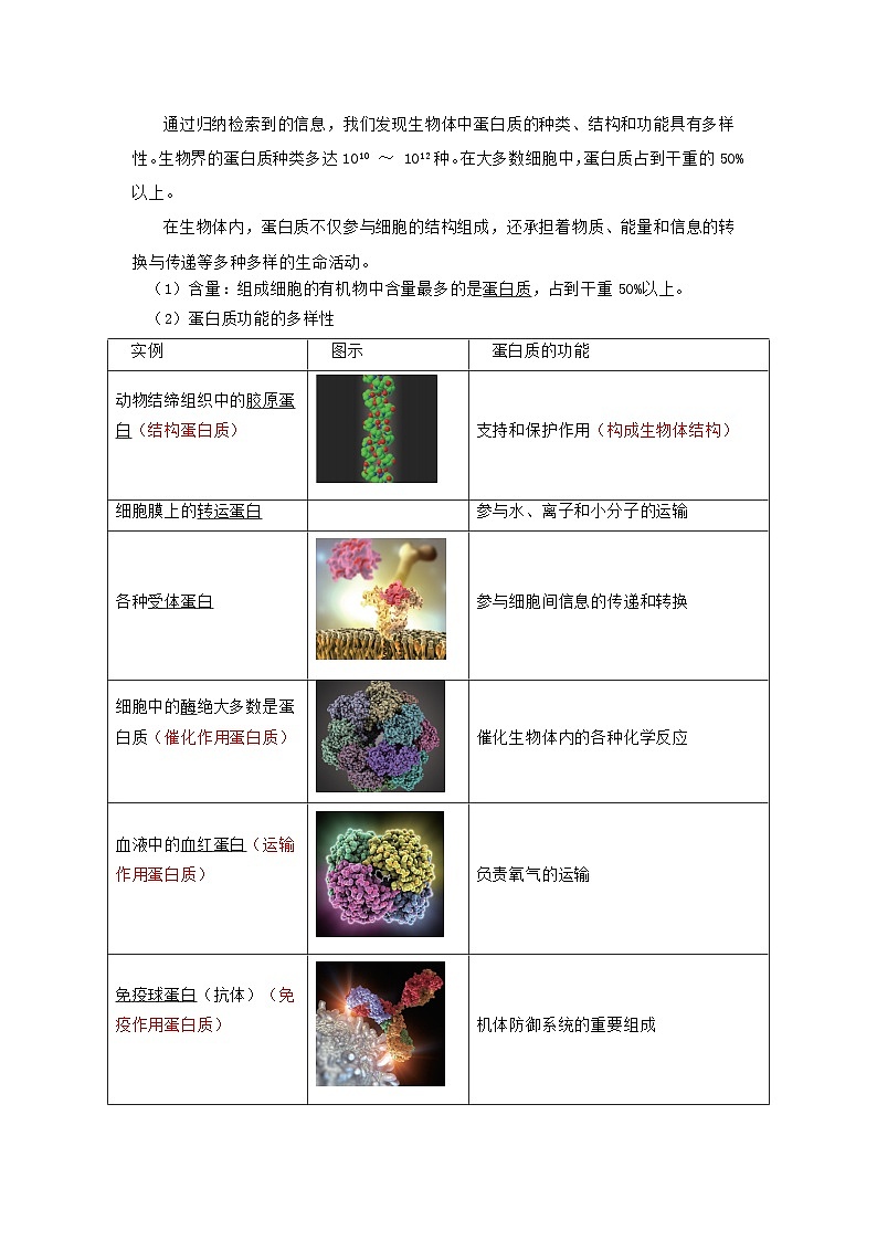 【沪科技版】生物必修一  第2章 细胞的分子组成（单元测试卷+知识清单）03
