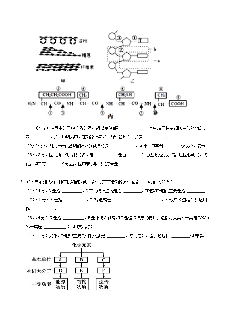 【沪科技版】生物必修一  第2章 细胞的分子组成（单元测试卷+知识清单）02
