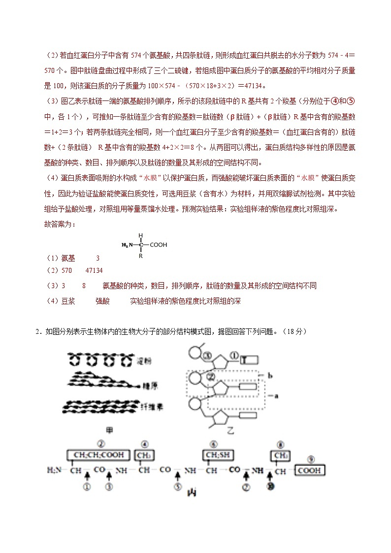 【沪科技版】生物必修一  第2章 细胞的分子组成（单元测试卷+知识清单）02