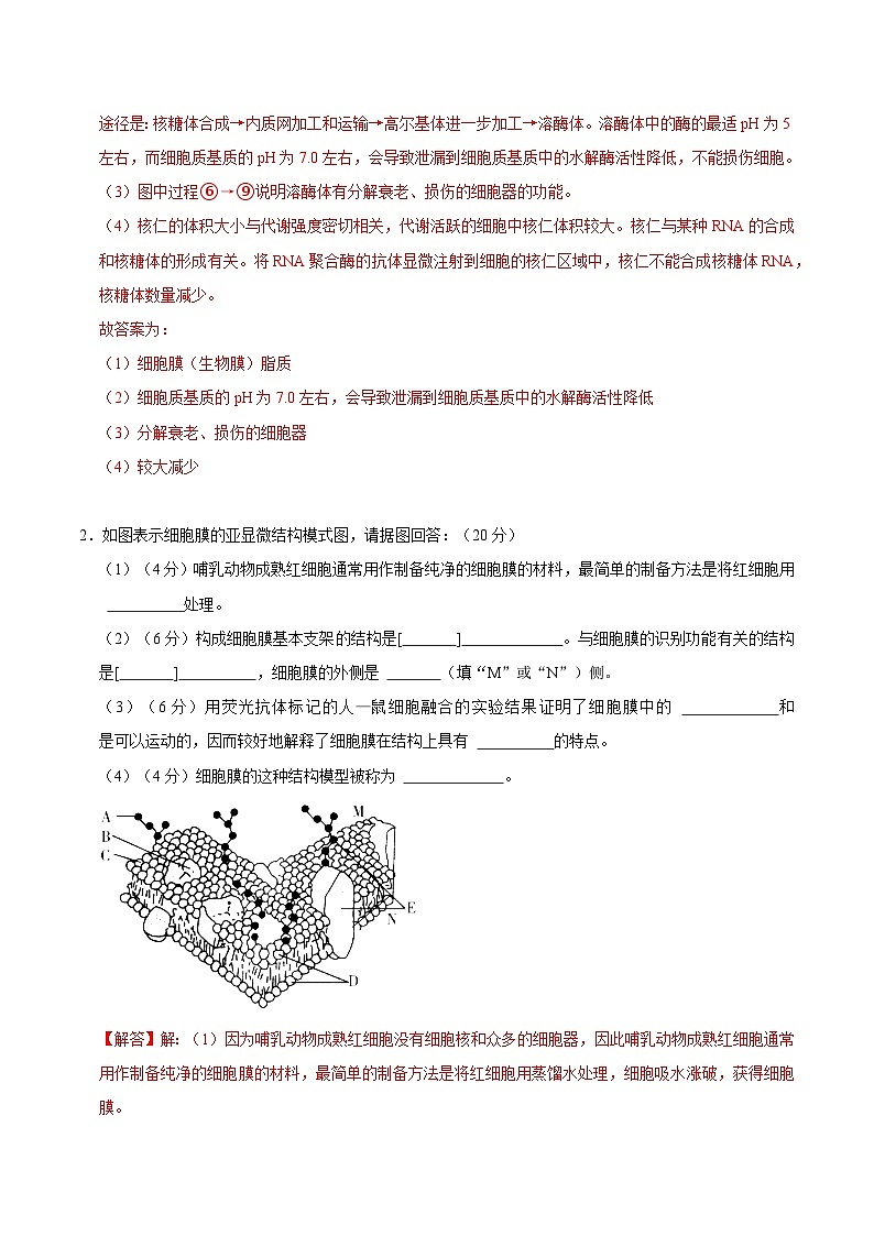 【沪科技版】生物必修一  第3章 细胞的结构（单元测试卷+知识清单）02