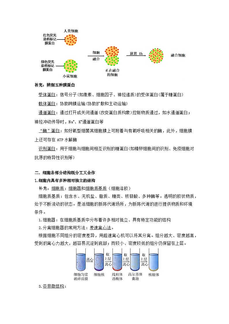 【沪科技版】生物必修一  第3章 细胞的结构（单元测试卷+知识清单）03