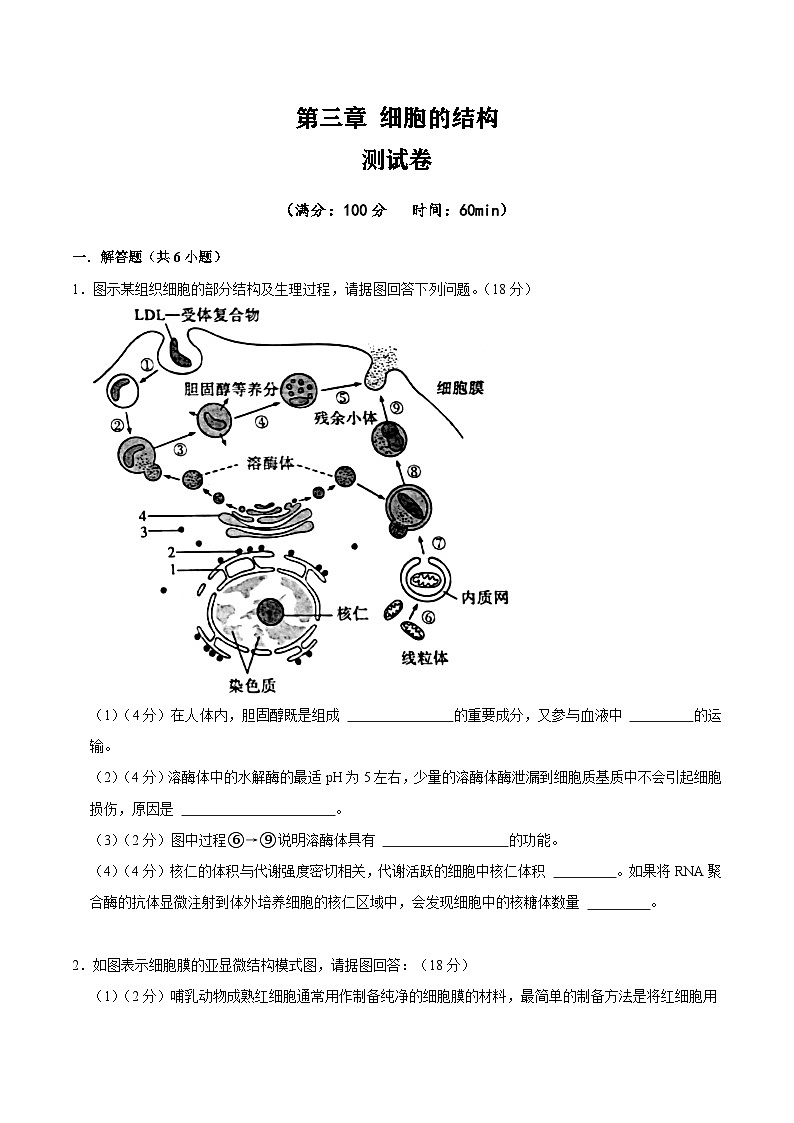 【沪科技版】生物必修一  第3章 细胞的结构（单元测试卷+知识清单）01