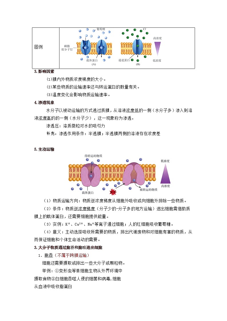 第4章 细胞的代谢-必背知识清单第3页