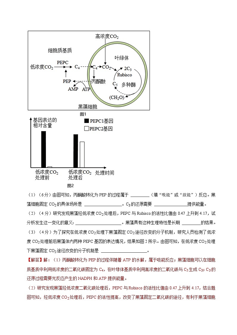 第4章 细胞的代谢（解析版）第3页