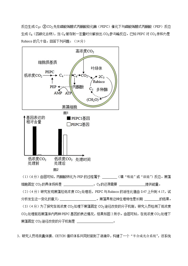 第4章 细胞的代谢（原卷版）第2页