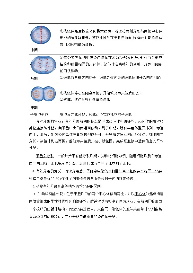 【沪科技版】生物必修一  第5章 细胞的生命进程（单元测试卷+知识清单）02